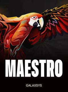 Maestro